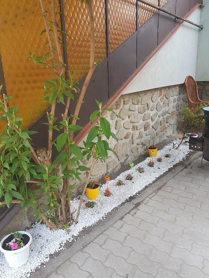 Nimrod Vendeghaz Sopron Hotel Exterior foto